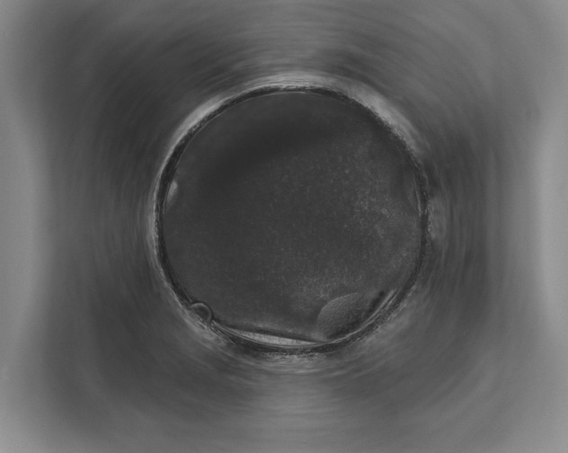 X0000112361229200908271246