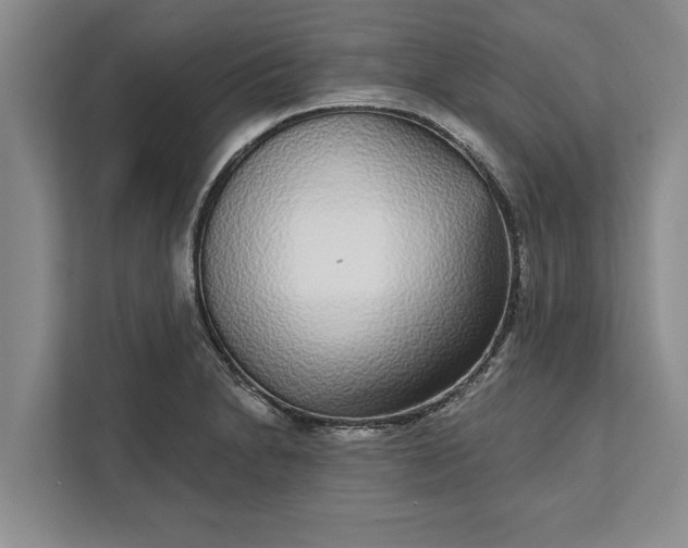 X0000112361230200908271246