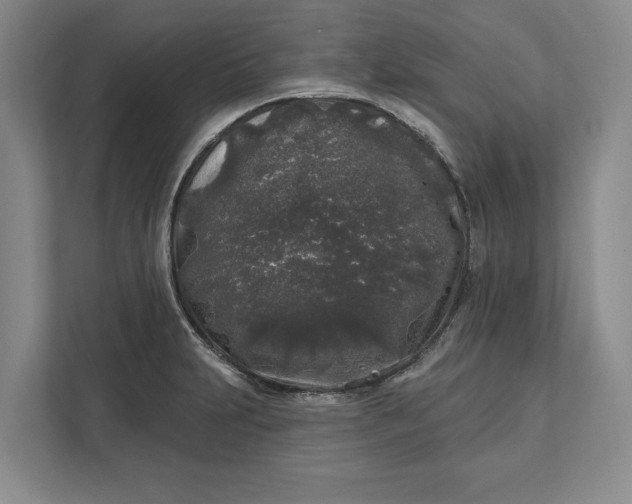 X0000112361231200908271247