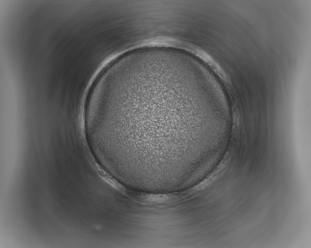 X0000112361232200908271247