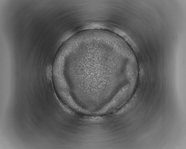 X0000112361233200908271247