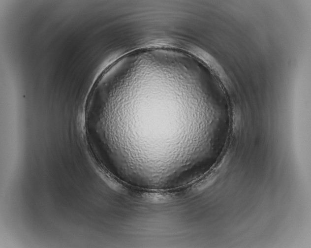 X0000112361234200908271247