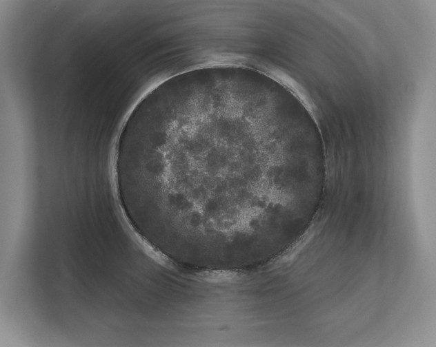 X0000112361235200908271247