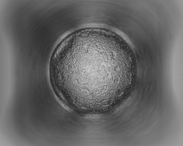 X0000112361237200908271247