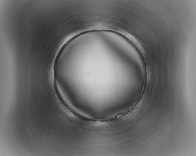 X0000112361238200908271247