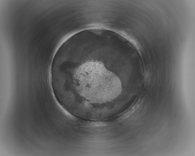 X0000112361239200908271247