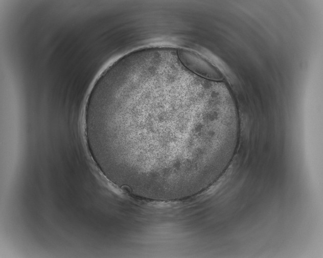 X0000112361240200908271247