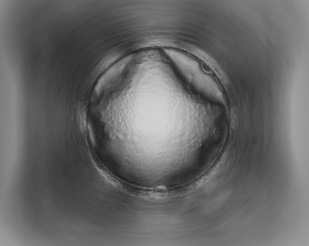 X0000112361241200908271247