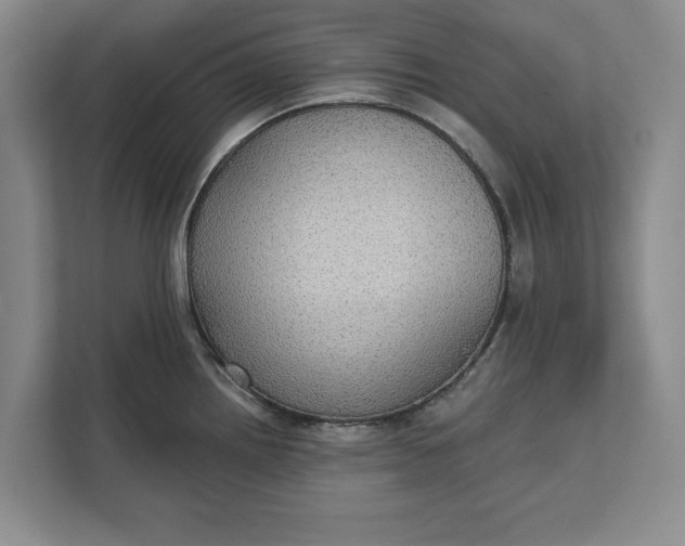 X0000112361242200908271247