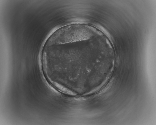 X0000112361243200908271247