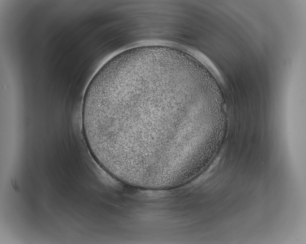 X0000112361244200908271247