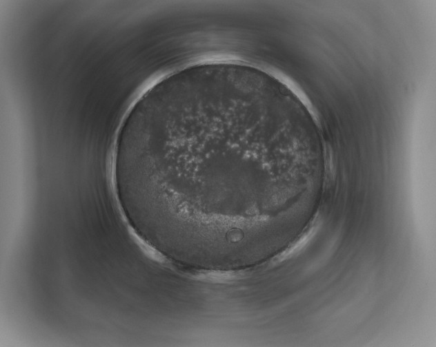 X0000112361245200908271247