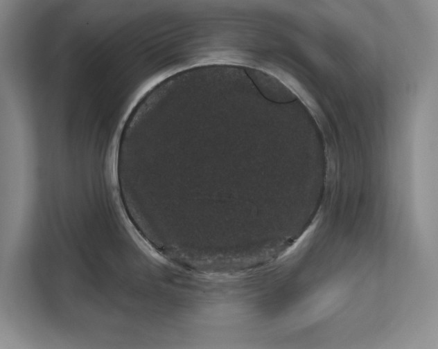 X0000112361246200908271247