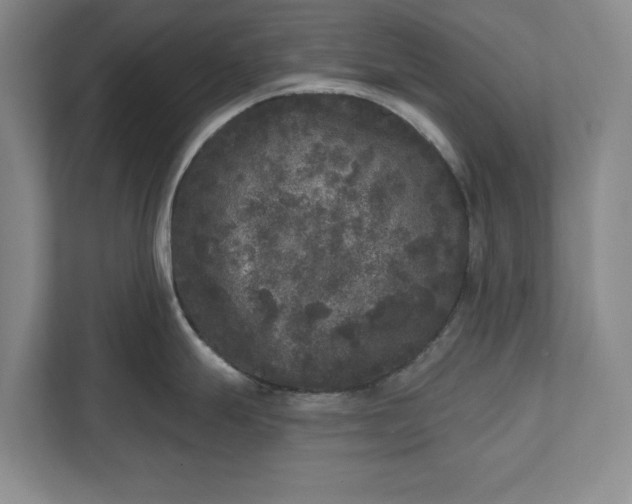 X0000112361247200908271247