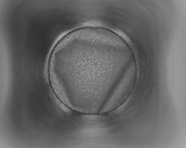 X0000112361248200908271247