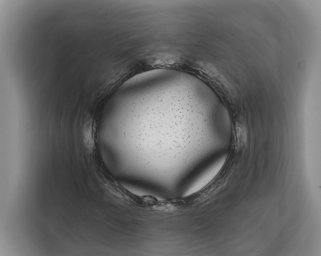 X0000112361250200908271246