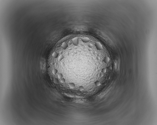 X0000112361251200908271246