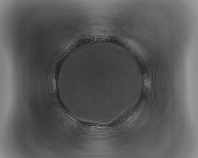 X0000112361252200908271246