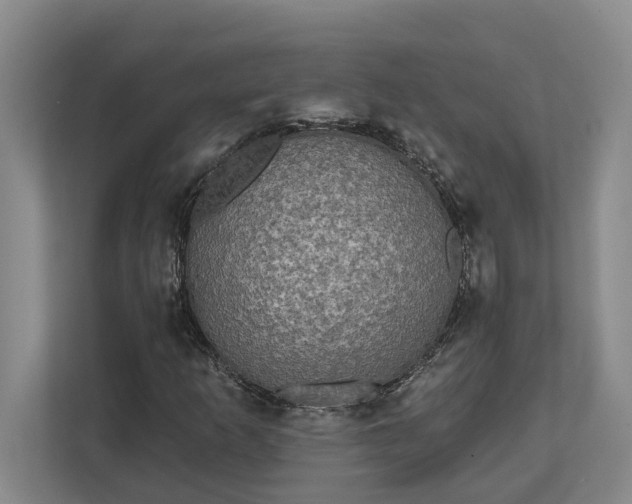 X0000112361253200908271246