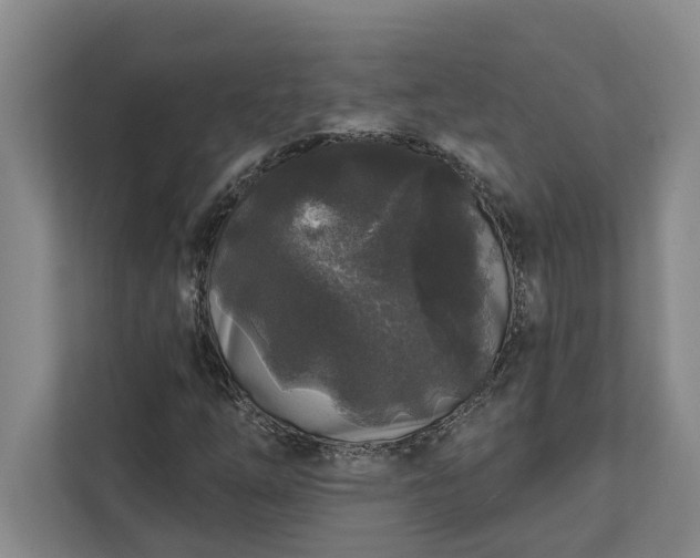 X0000112361254200908271246