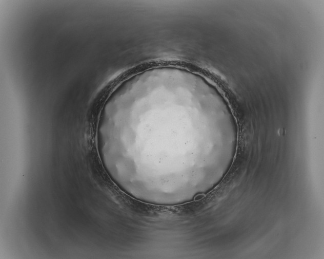 X0000112361255200908271246