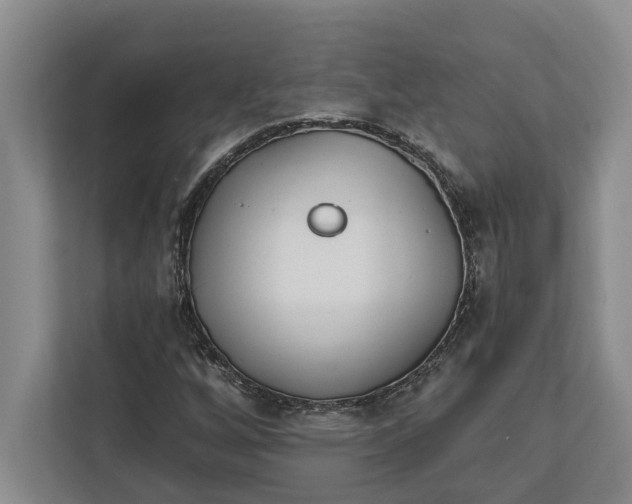 X0000112361256200908271246