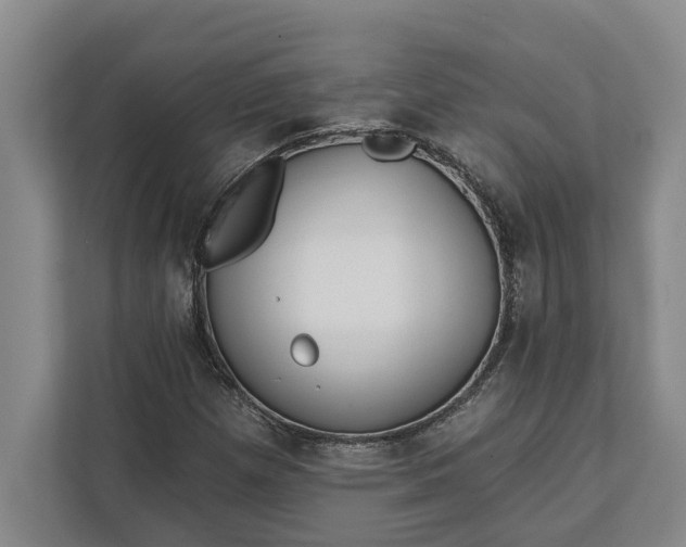 X0000112361257200908271246