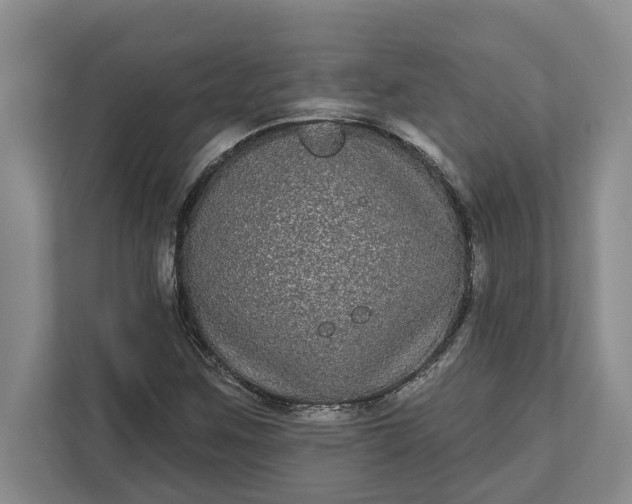 X0000112361259200908271246