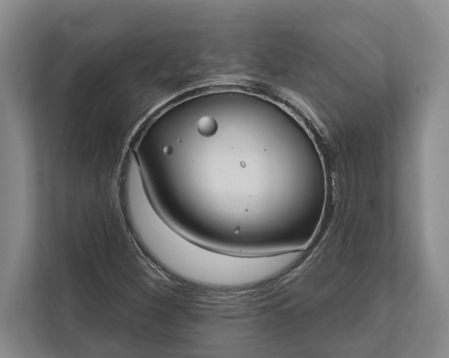 X0000112361260200908271246