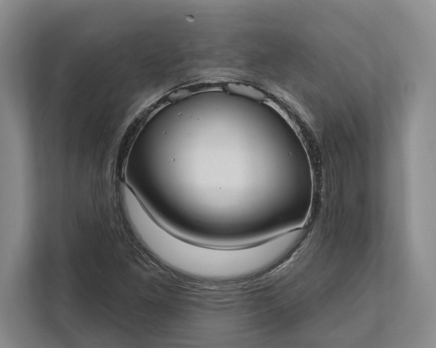 X0000112361261200908271246