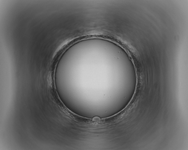 X0000112361262200908271246