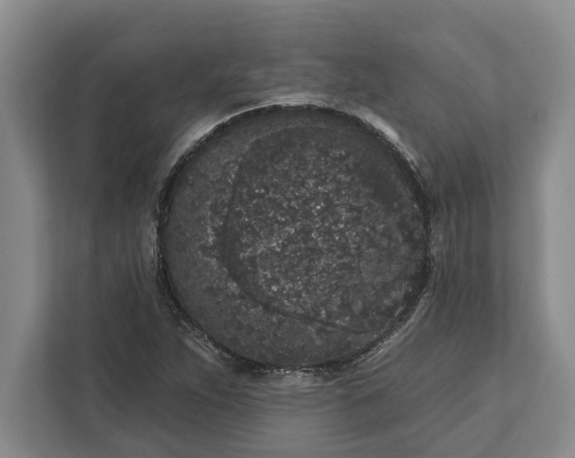 X0000112361263200908271246