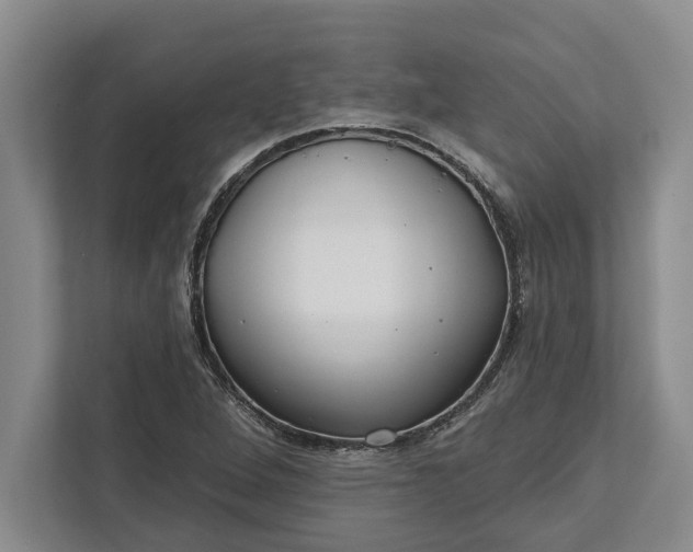 X0000112361264200908271246