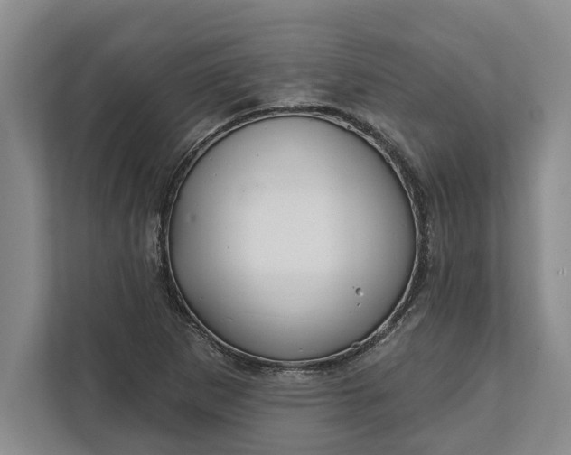 X0000112361265200908271246