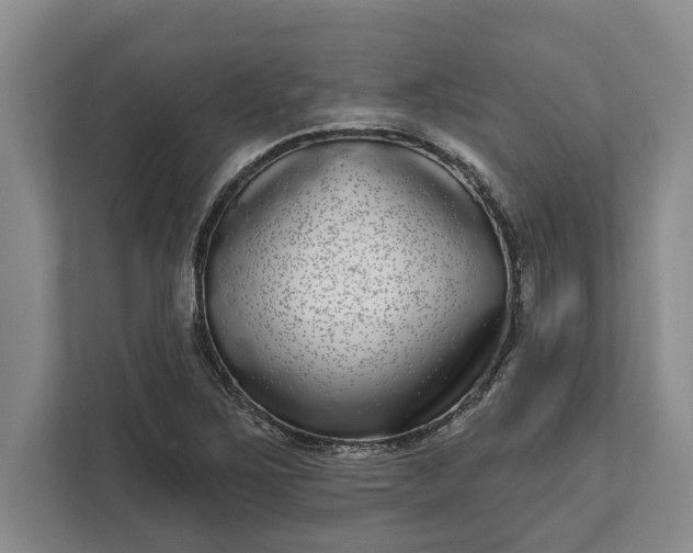 X0000112361267200908271246