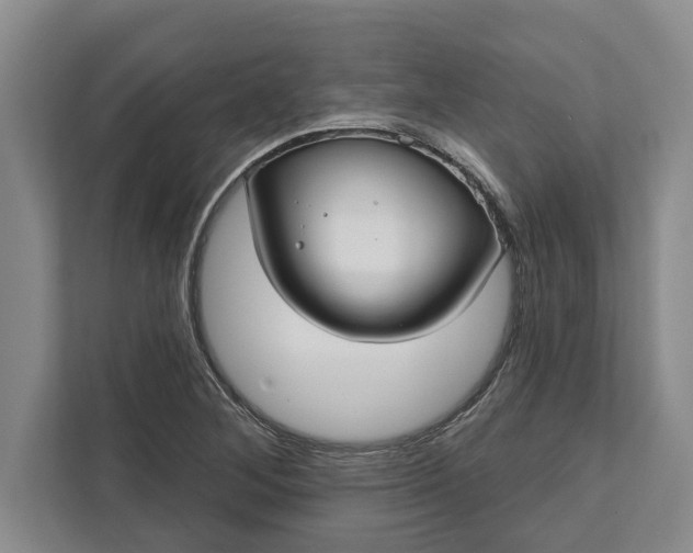 X0000112361268200908271246