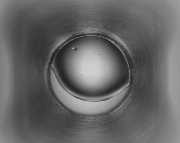 X0000112361269200908271246