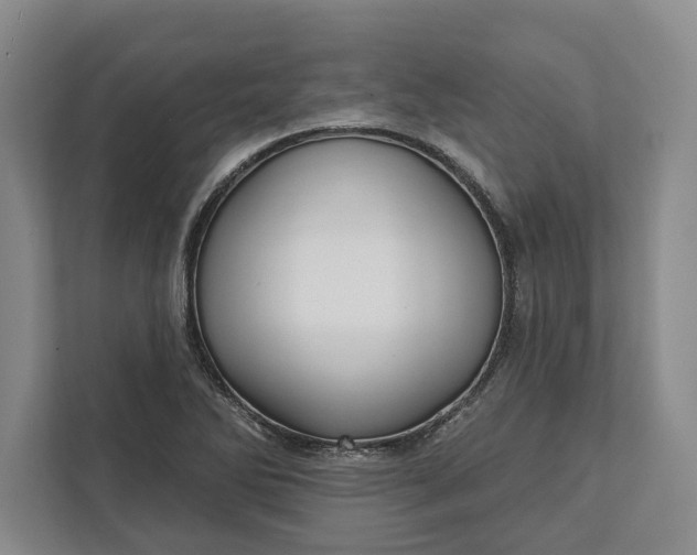 X0000112361270200908271246