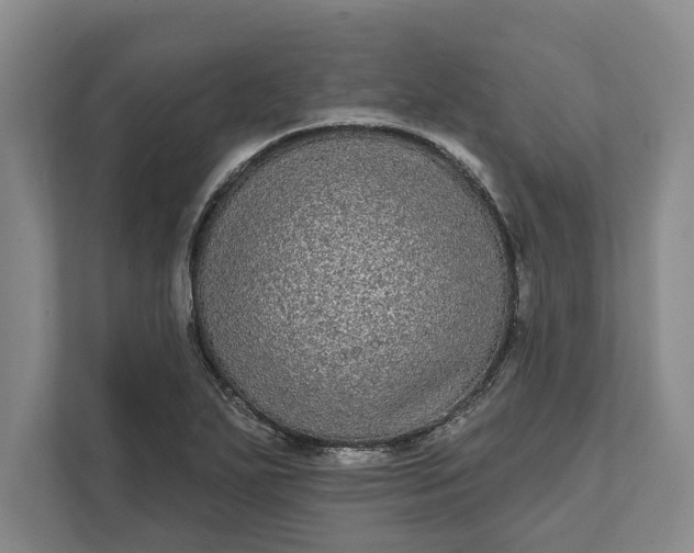 X0000112361271200908271246