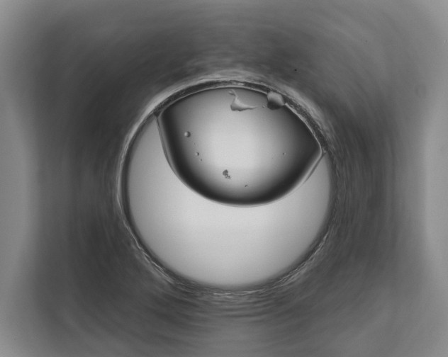 X0000112361272200908271246