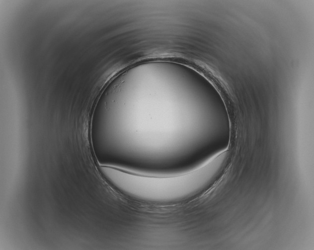 X0000112361273200908271246