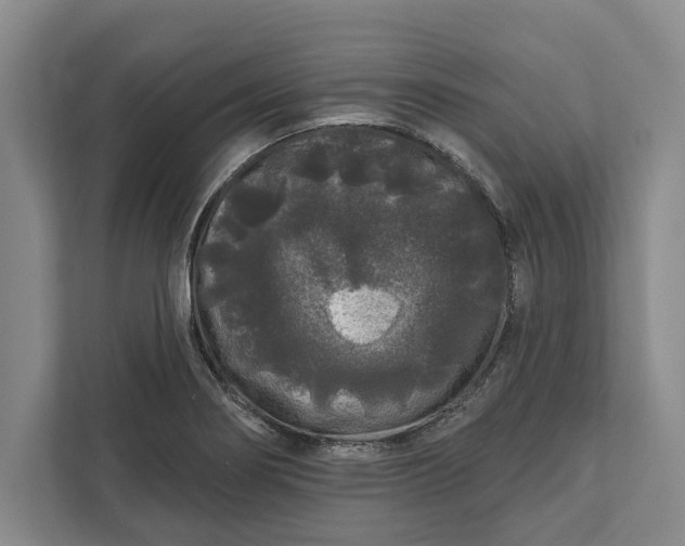 X0000112361274200908271246