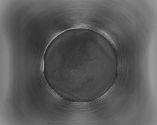 X0000112361276200908271246