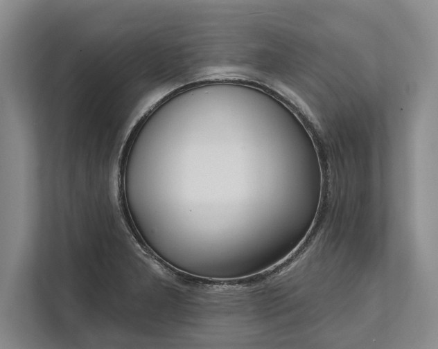 X0000112361277200908271246