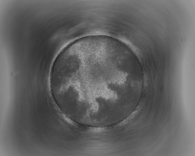 X0000112361278200908271246