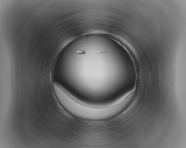 X0000112361281200908271246