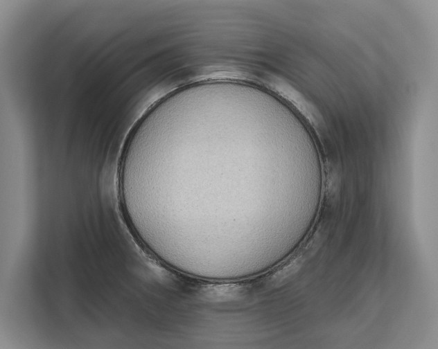 X0000112361282200908271246