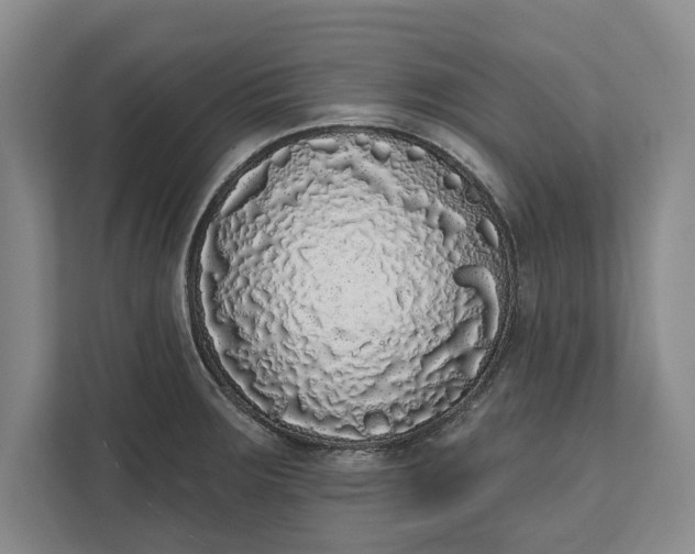 X0000112361283200908271246