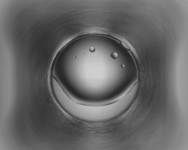 X0000112361285200908271246