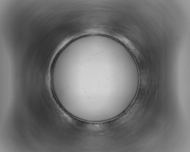 X0000112361286200908271246